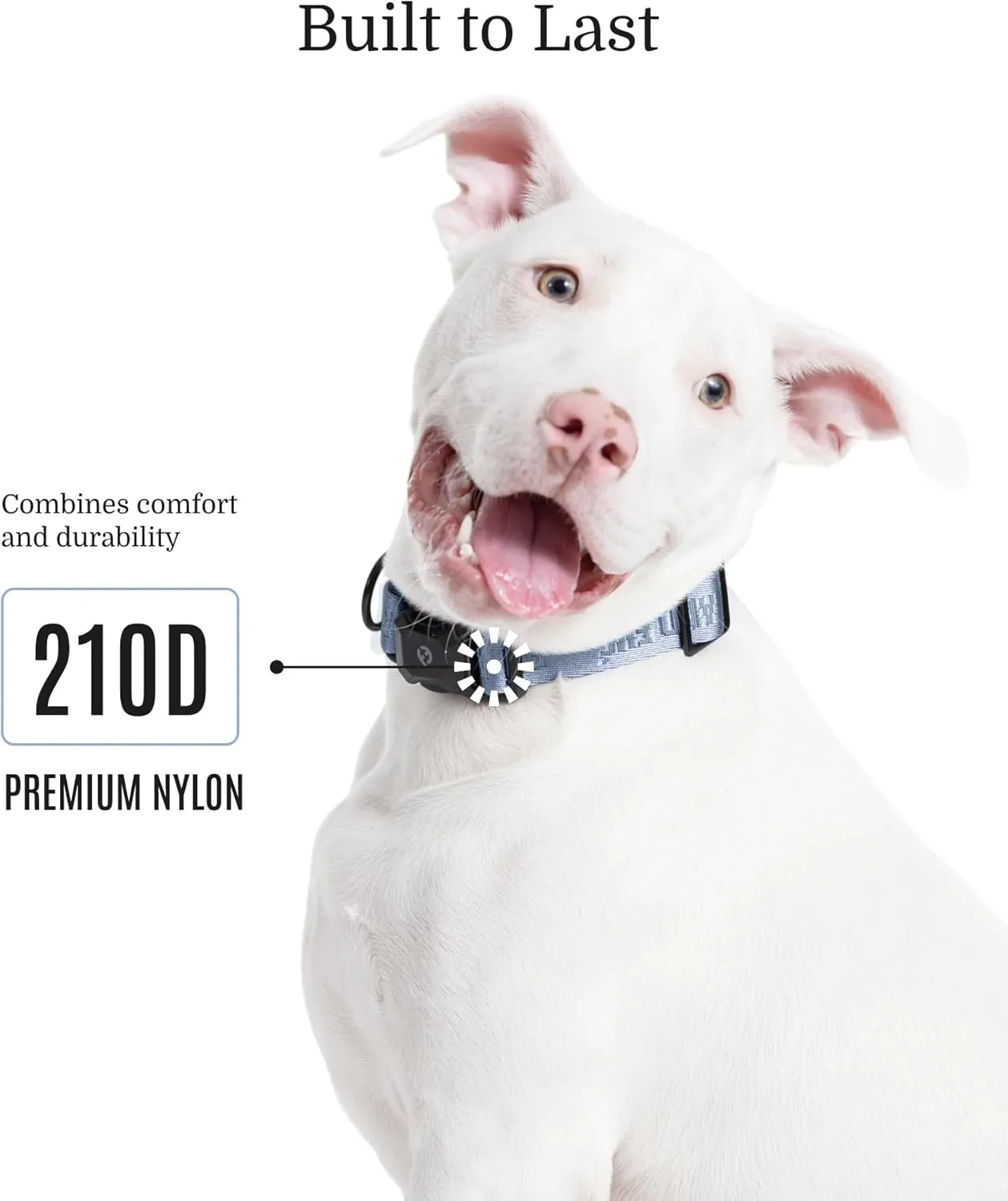 2025 New Edition, Fei & Eve MagEase Dog Collar - Patented Magnetic Buckles | Fur-Safe | Premium 210D Nylon | 450LB Escape-Proof | Adjustable Fit | Small (Dusk Blue)
