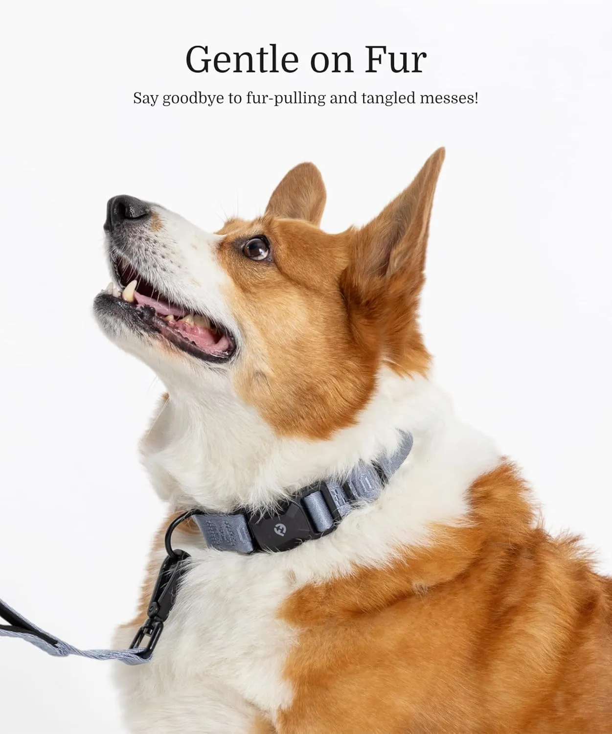 2025 New Edition, Fei & Eve MagEase Dog Collar - Patented Magnetic Buckles | Fur-Safe | Premium 210D Nylon | 450LB Escape-Proof | Adjustable Fit | Small (Dusk Blue)