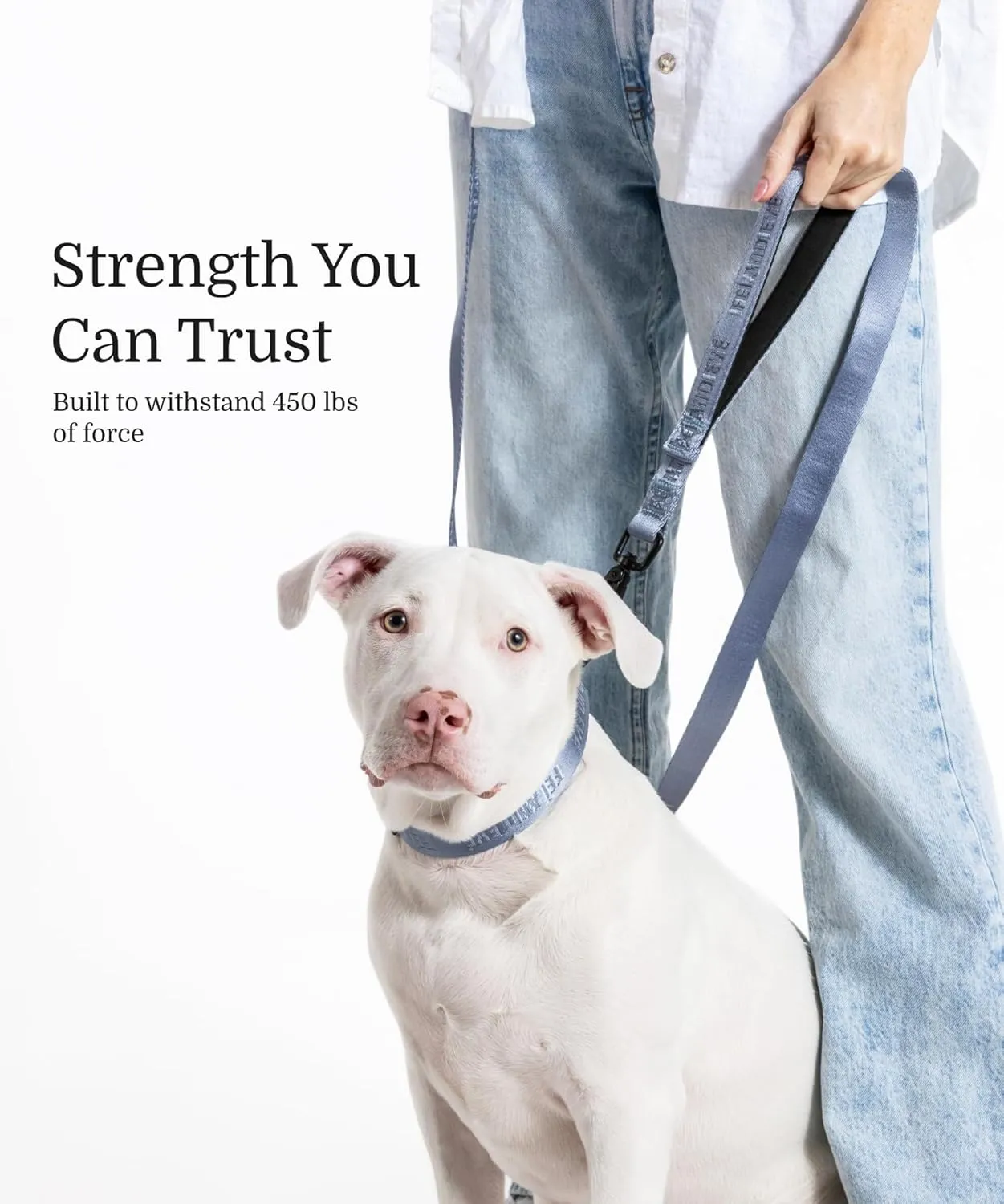 2025 New Edition, Fei & Eve MagEase Dog Collar - Patented Magnetic Buckles | Fur-Safe | Premium 210D Nylon | 450LB Escape-Proof | Adjustable Fit | Small (Dusk Blue)