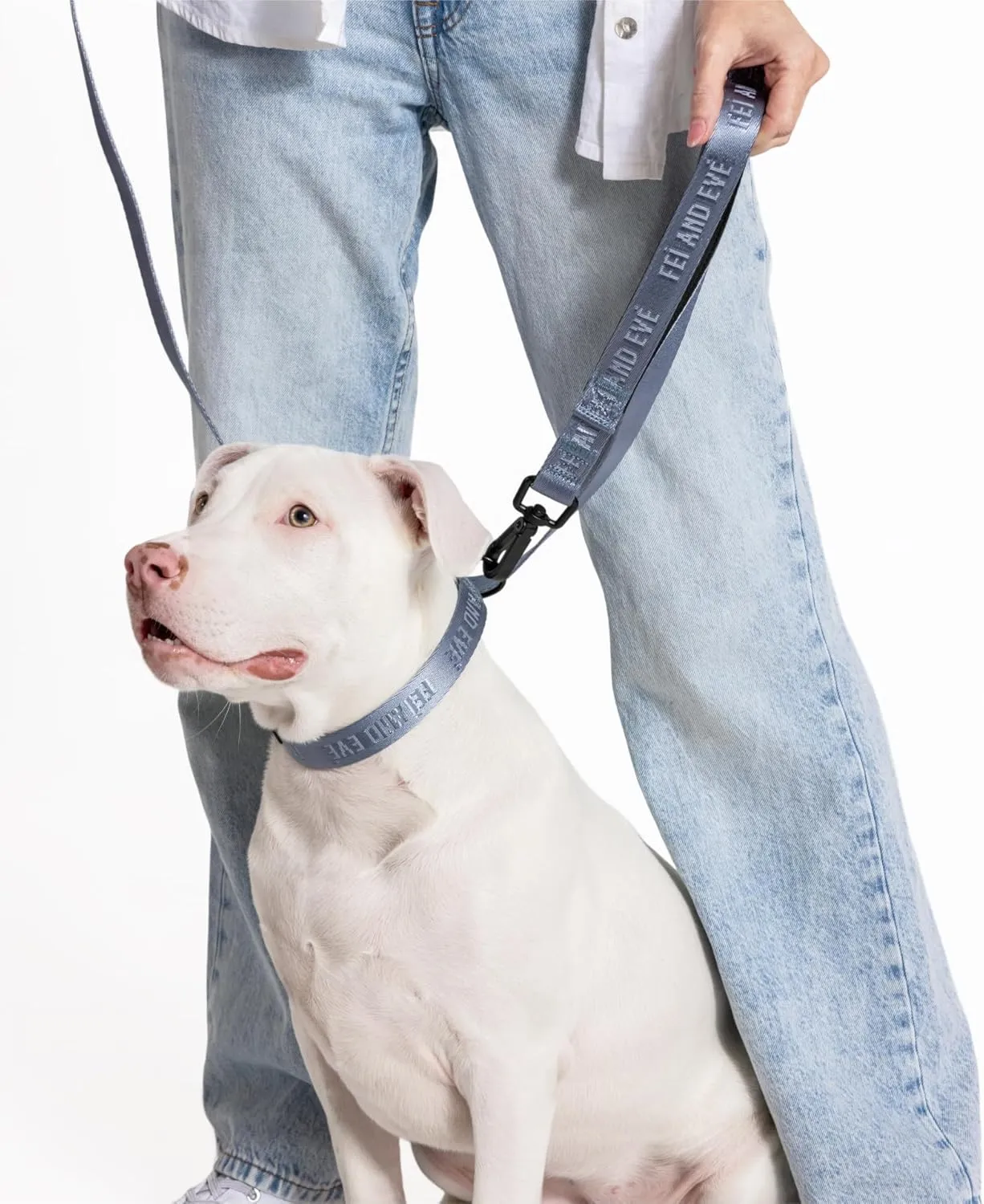 2025 New Edition, Fei & Eve MagEase Dog Collar - Patented Magnetic Buckles | Fur-Safe | Premium 210D Nylon | 450LB Escape-Proof | Adjustable Fit | Small (Dusk Blue)