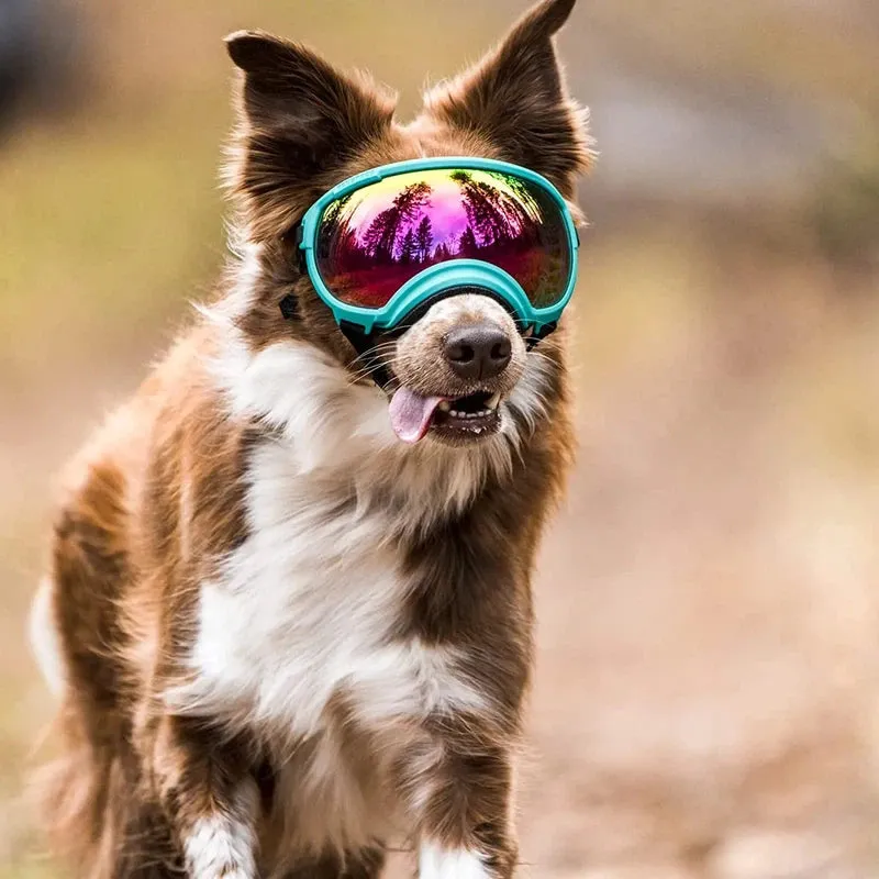 Anti-UV Adjustable Dog Goggles for Large Breeds