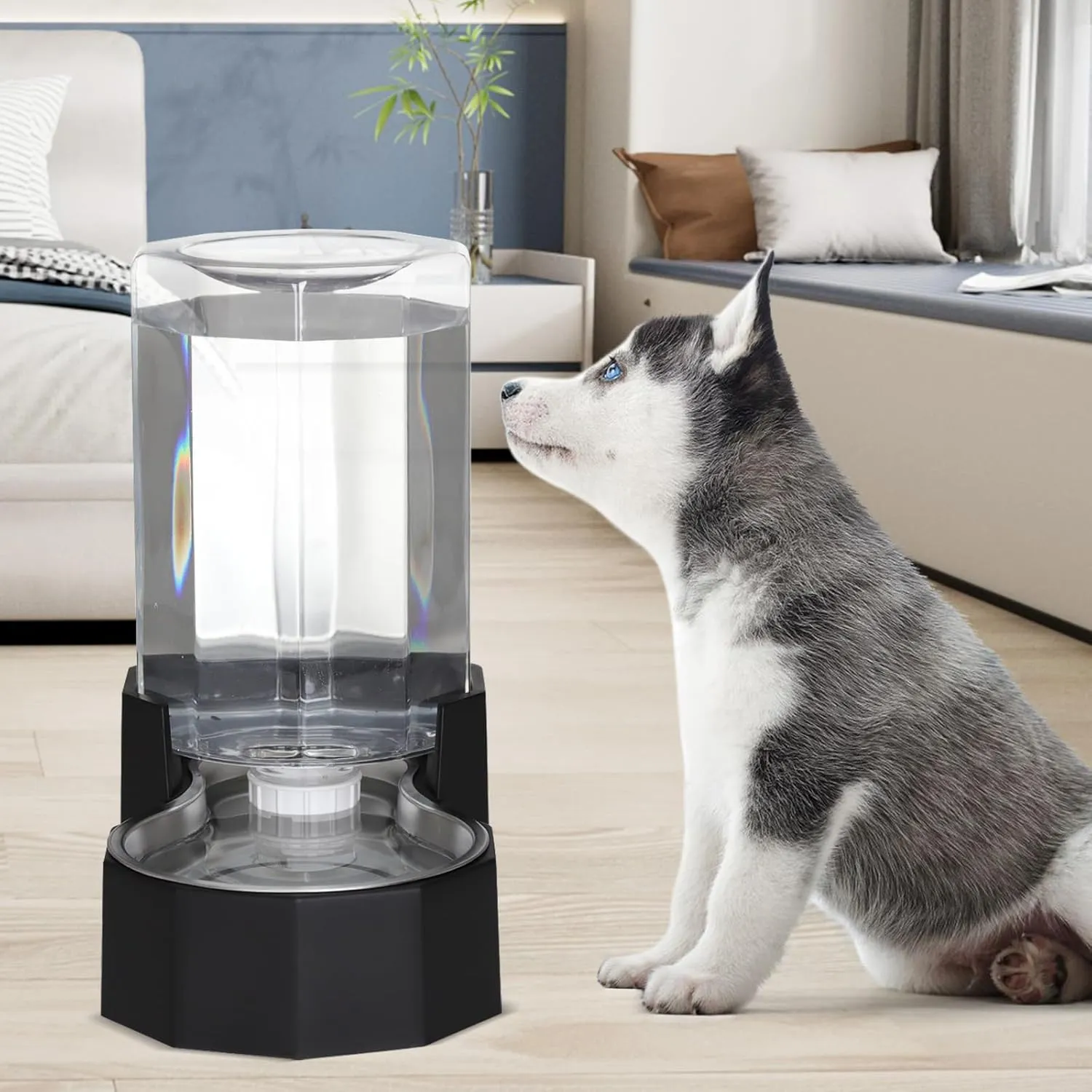 Automatic Pet Water Dispenser with Stainless Steel Bowl, Gravity Waterer, Angular Water Feeder for Small to Large Dogs and Cats (Black, 6L Without Filter)