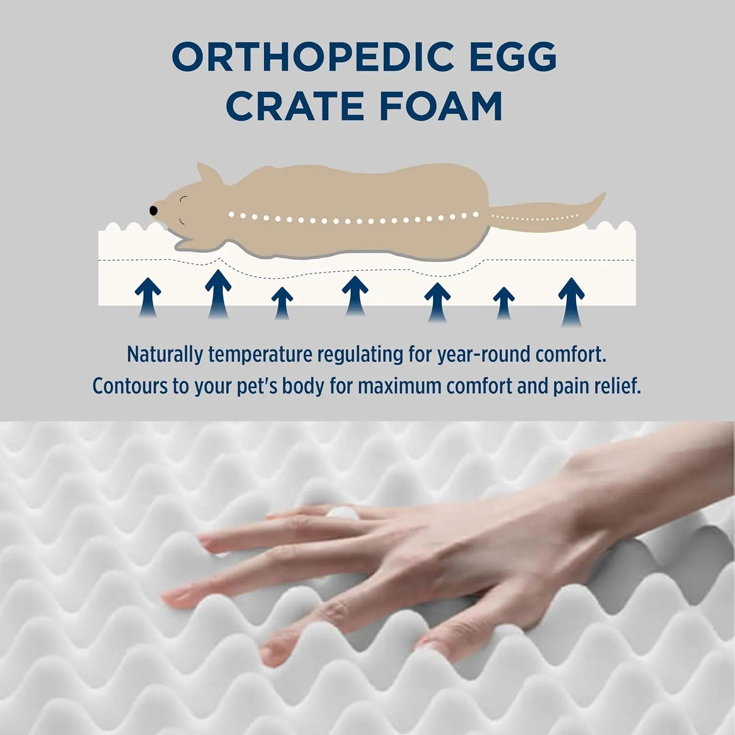 Bedsure Orthopedic Dog Bed for Extra Large Dogs - Egg Foam Dog Sofa Bed, Bolster Couch Pet Bed with Removable Waterproof Washable Cover, Comfy Plush Velvet Fluff Surface, Nonskid Bottom, Beige