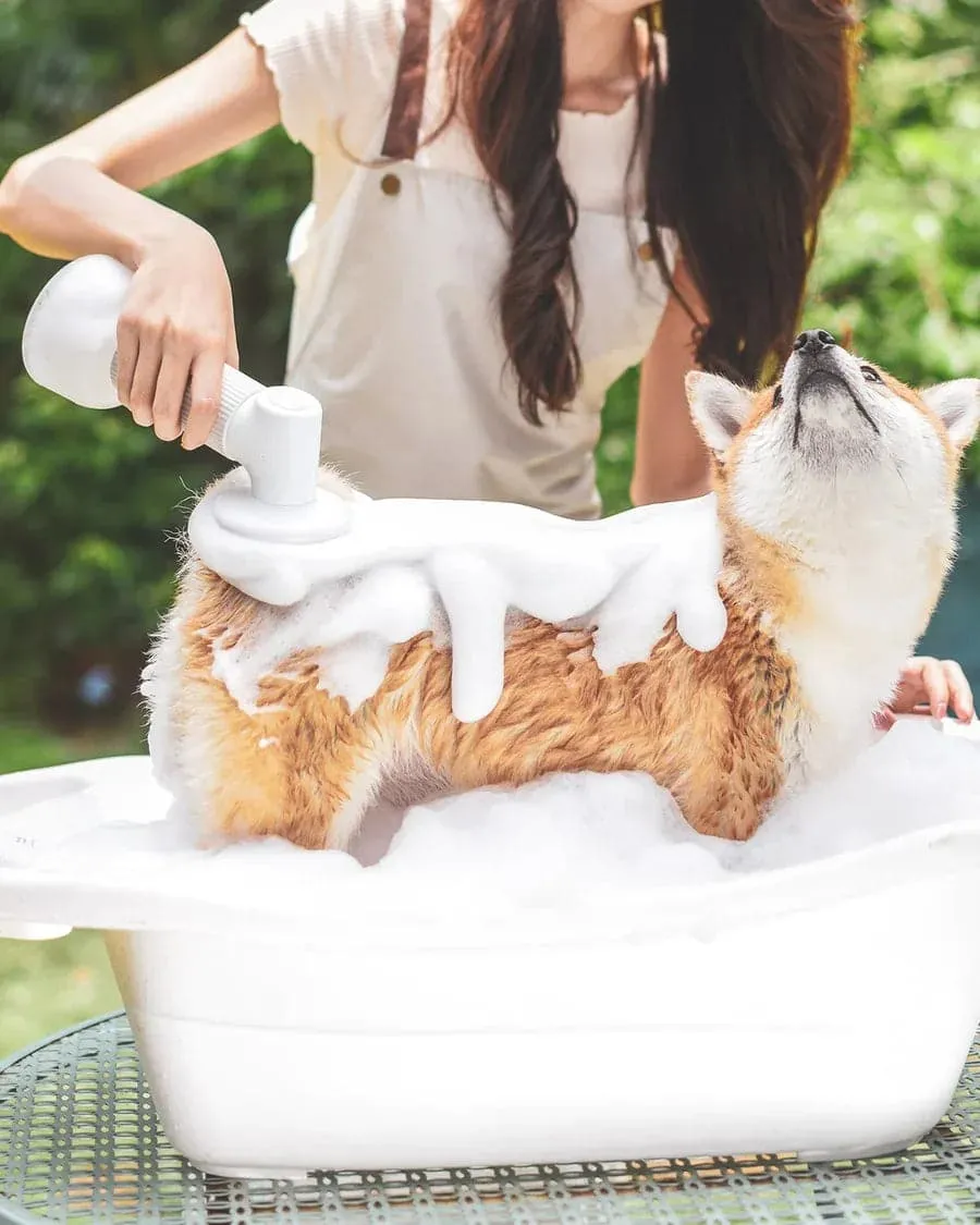 [BOGO] Uah Pet FUR-EVER CLEAN Automatic Foaming Soap Dispenser & Free Smart Deodorizer