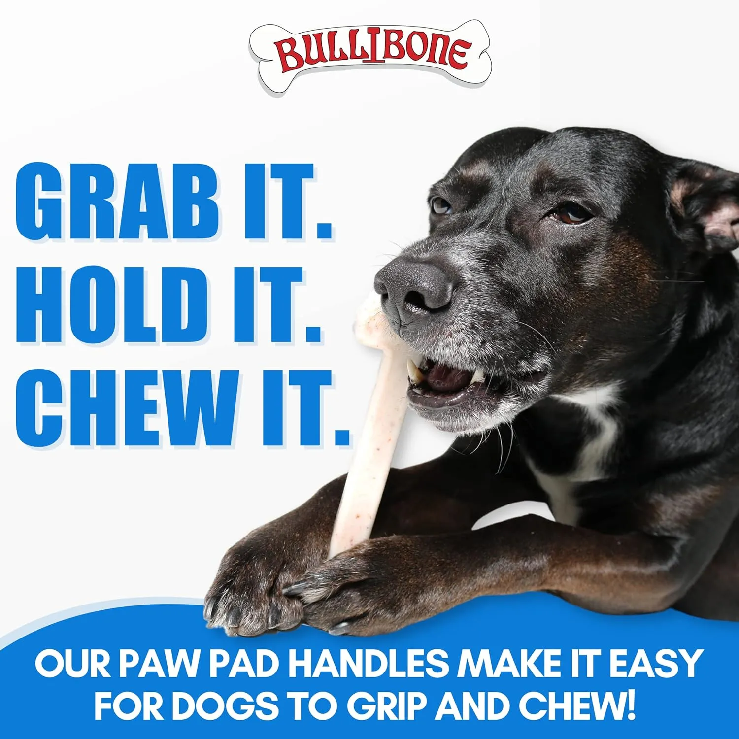 Bullibone Nylon Dog Chew Toy Nylon Bone - Improves Dental Hygiene, Easy to Grip Bottom, and Permeated with Flavor (Peanut Butter, Large - 3 Pack)