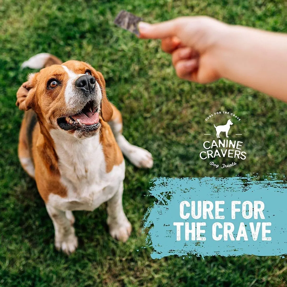 Canine Cravers Single Ingredient Dog Treats  Wild Caught Crispy Cod Skins - Human Grade Air Dried Hypoallergenic Pet Food  Grain, Gluten, and Soy Free  100% All Natural  4 oz