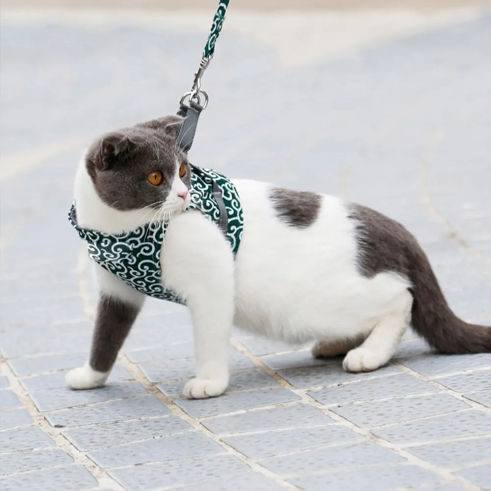 Cat Dogs Vest Harness and Leash, Anti-Break Away Chest Strap, Cats Clothes, Breathable Cat Harness Set, Escape Proof Soft Adjustable Vest Harnesses for Cats for Girl&Boy Cat Walking (Green, s)