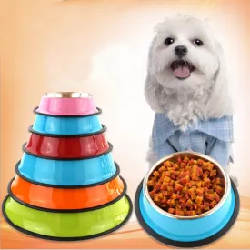 Colourful Magic Pet Feeding Bowls