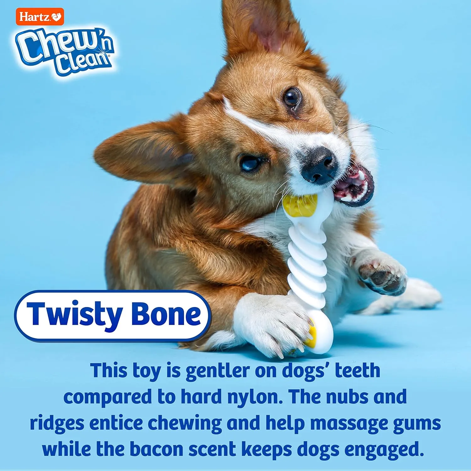 Hartz Chew n Clean Twisty Bone Dog Chew Toy, Bacon Scented for Moderate Chewers, Extra Small