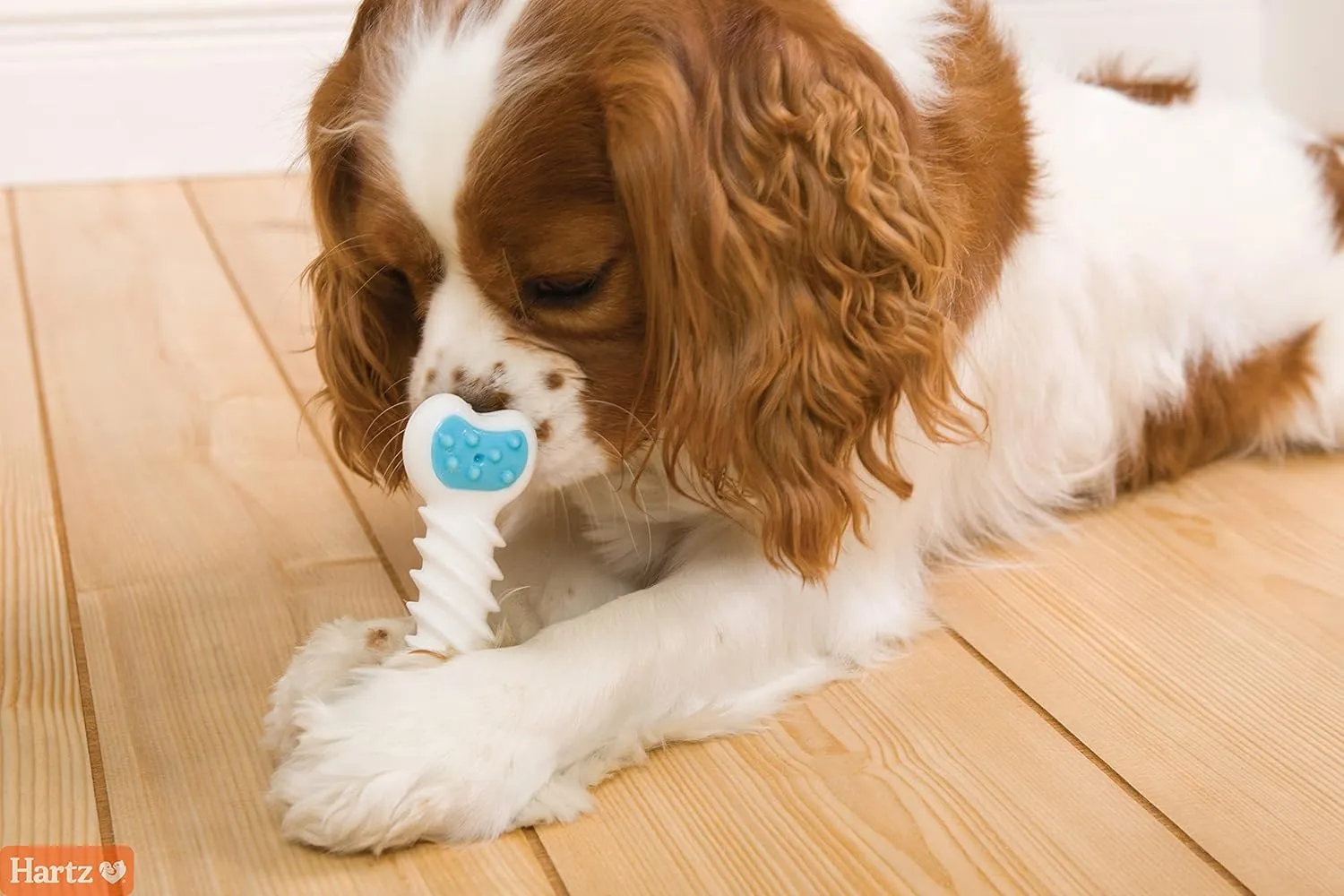 Hartz Chew n Clean Twisty Bone Dog Chew Toy, Bacon Scented for Moderate Chewers, Extra Small