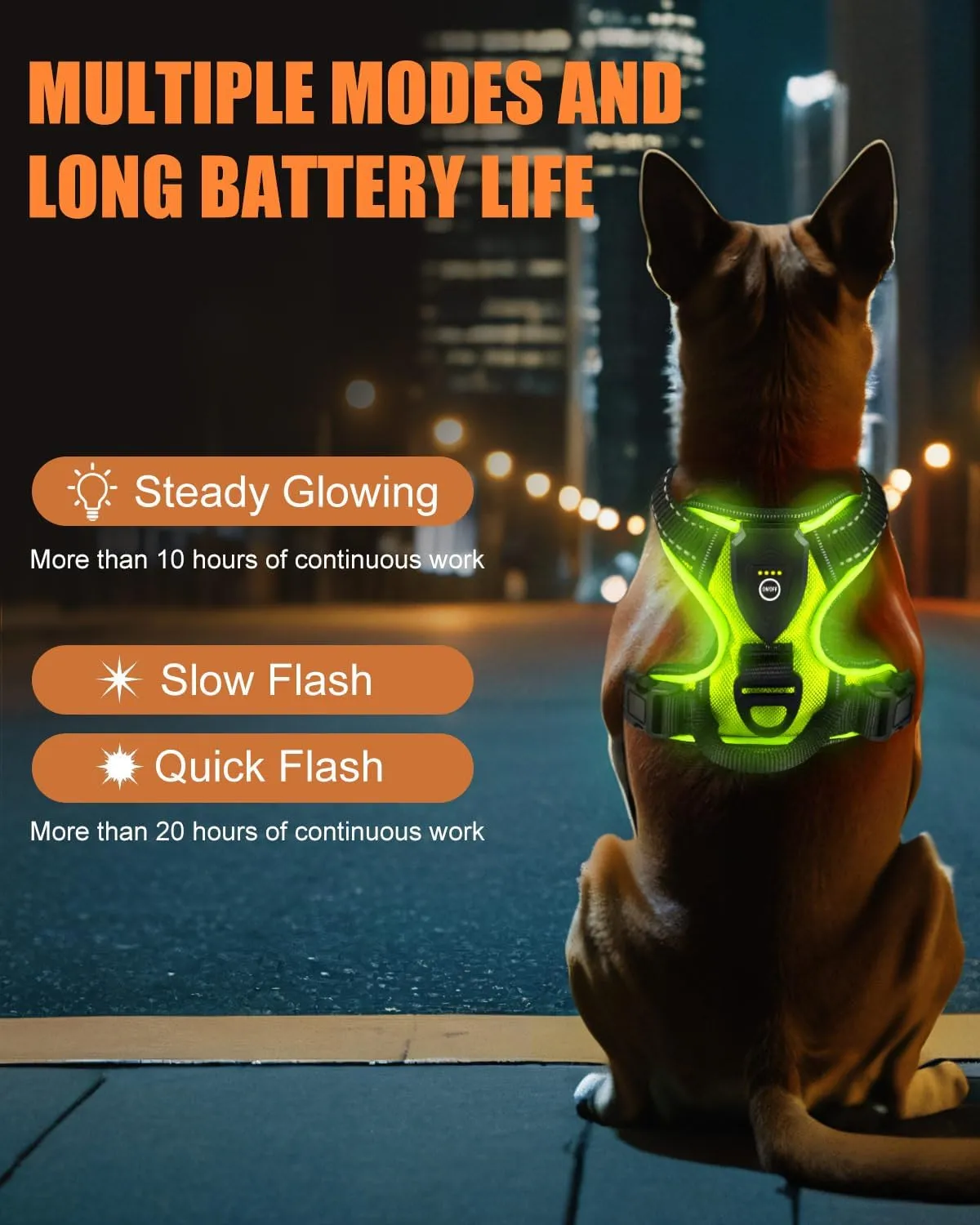 Light Up Dog Harness - LED Dog Harness Rechargeable for Night Walking, Three Lighting Modes, Flashing for More Than 20 Hours, Oxford Cloth(Green/Medium)