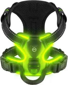 Light Up Dog Harness - LED Dog Harness Rechargeable for Night Walking, Three Lighting Modes, Flashing for More Than 20 Hours, Oxford Cloth(Green/Medium)