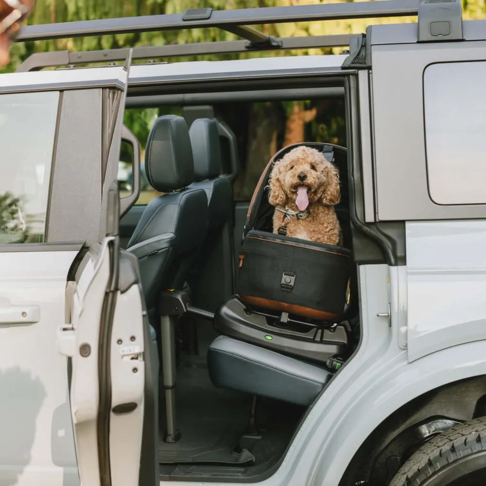 Maeve Pet Car Seat