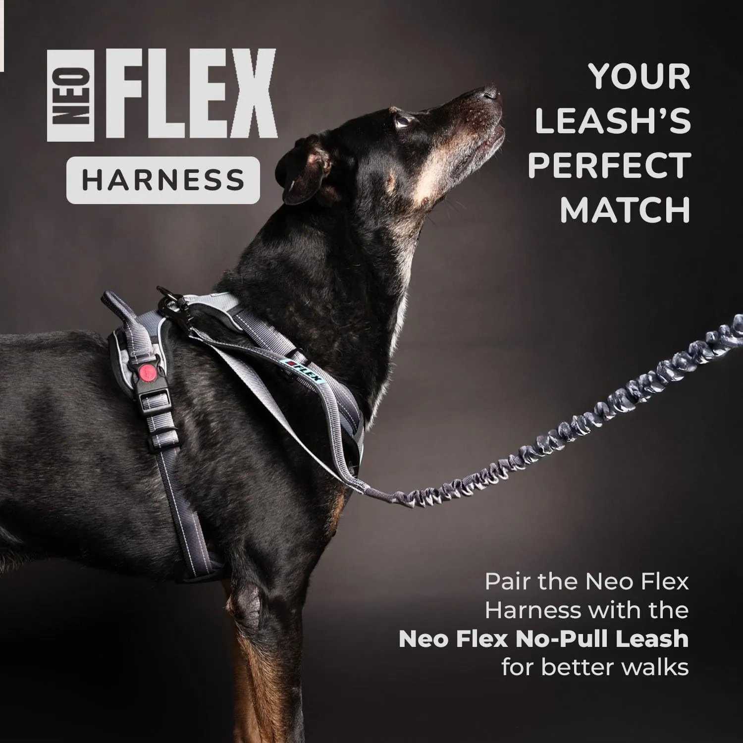 NeoFlex Dog Harness for Large Dogs - No Pull, Adjustable Harness with Handle - Ideal for Medium and Large Sized Dogs, All Breeds, Durable & Comfortable Dog Walking Vest - Purple - XL