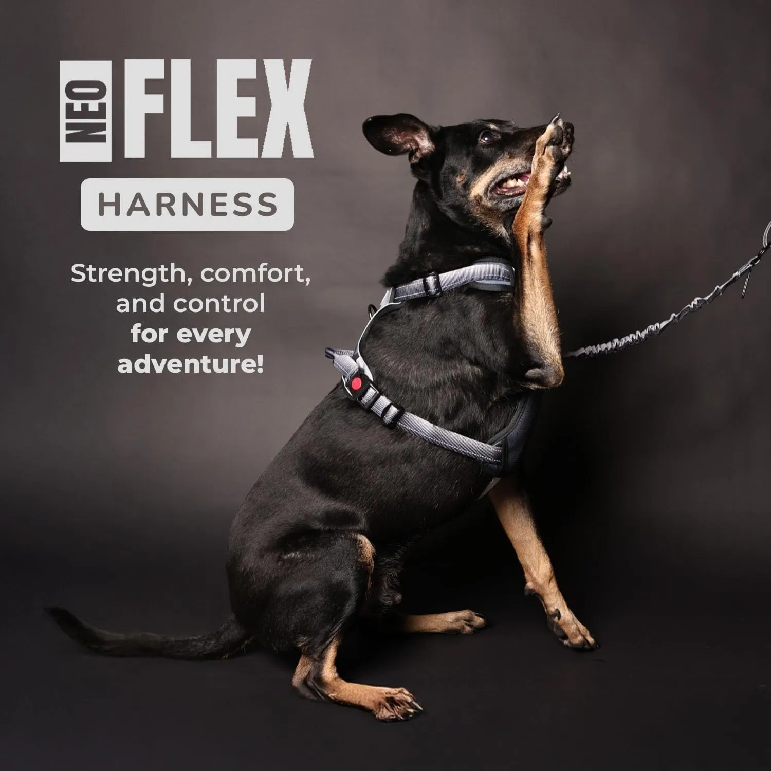 NeoFlex Dog Harness for Large Dogs - No Pull, Adjustable Harness with Handle - Ideal for Medium and Large Sized Dogs, All Breeds, Durable & Comfortable Dog Walking Vest - Purple - XL