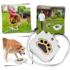Paw Activated Dog Water Fountain
