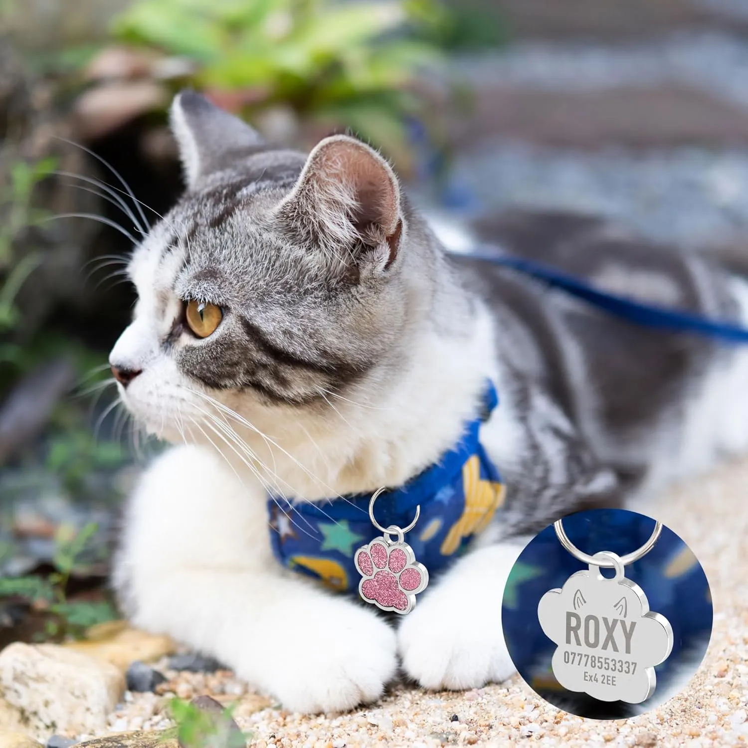 Personalized Dog & Cat Tags - Custom Dog ID Tags with Paw Print Design (Blue, Glitter Bling Finish)