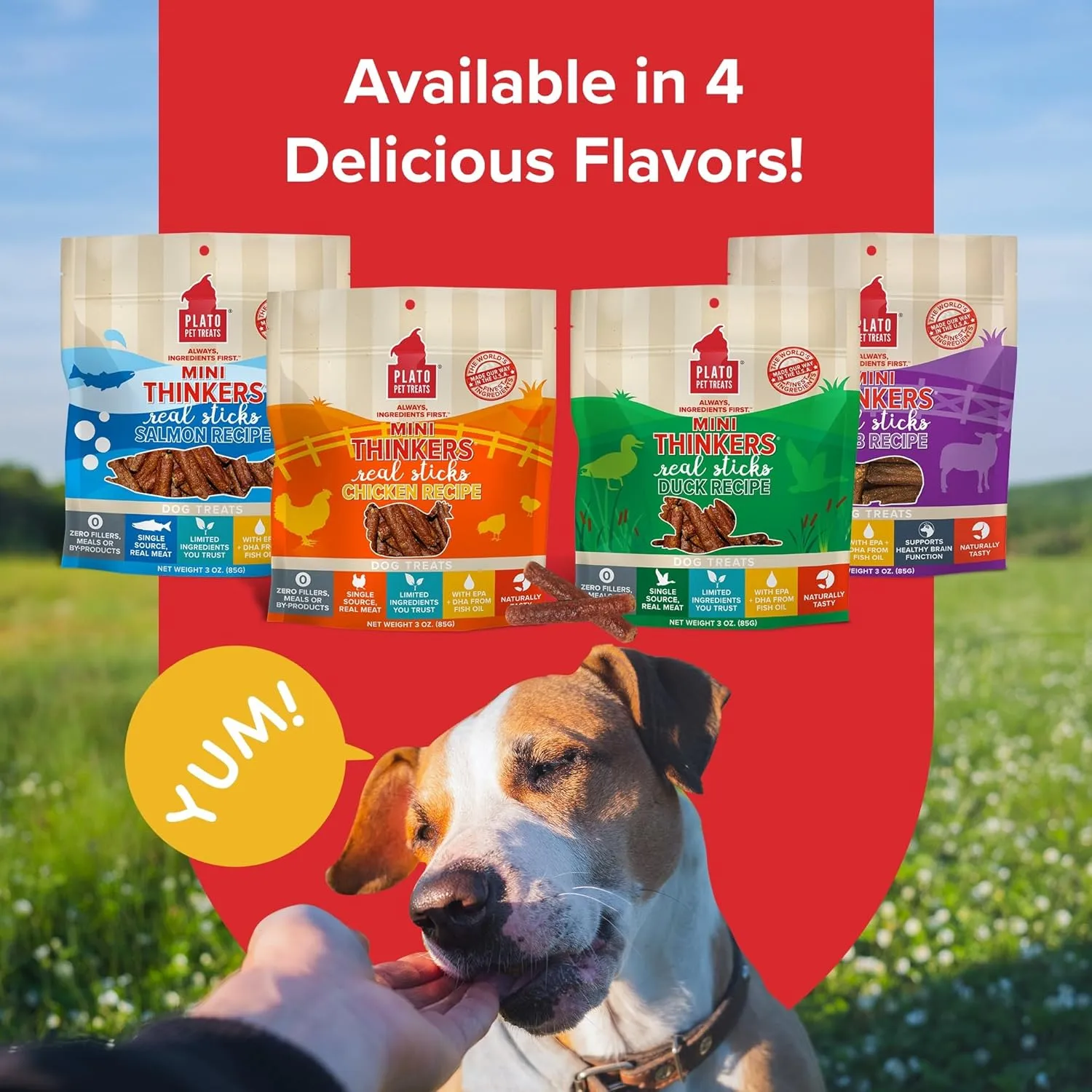 PLATO Mini Thinkers Sticks - Natural Dog Treats - Real Meat - Air Dried - Made in the USA, Chicken Flavor, 3 ounces
