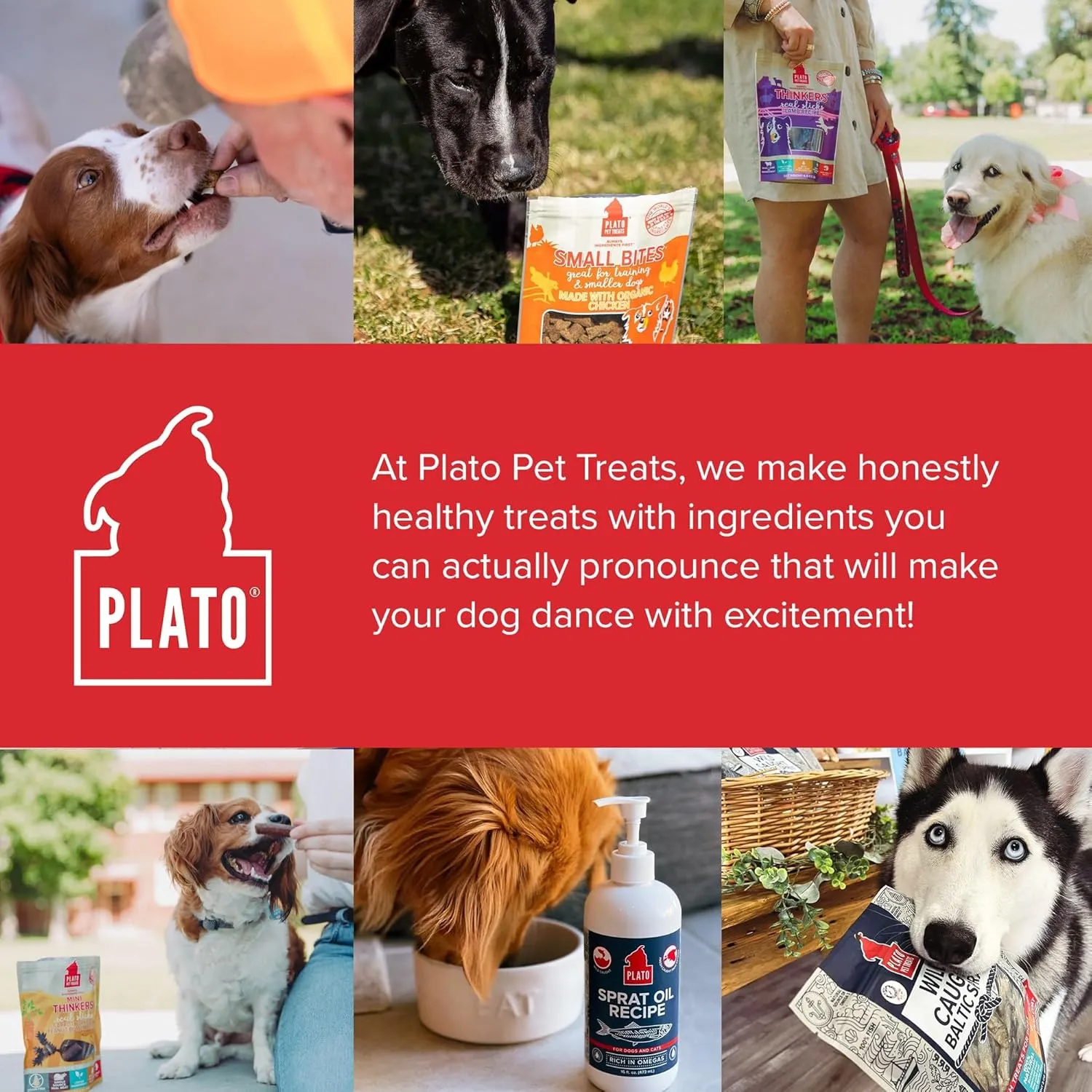 PLATO Mini Thinkers Sticks - Natural Dog Treats - Real Meat - Air Dried - Made in the USA, Chicken Flavor, 3 ounces