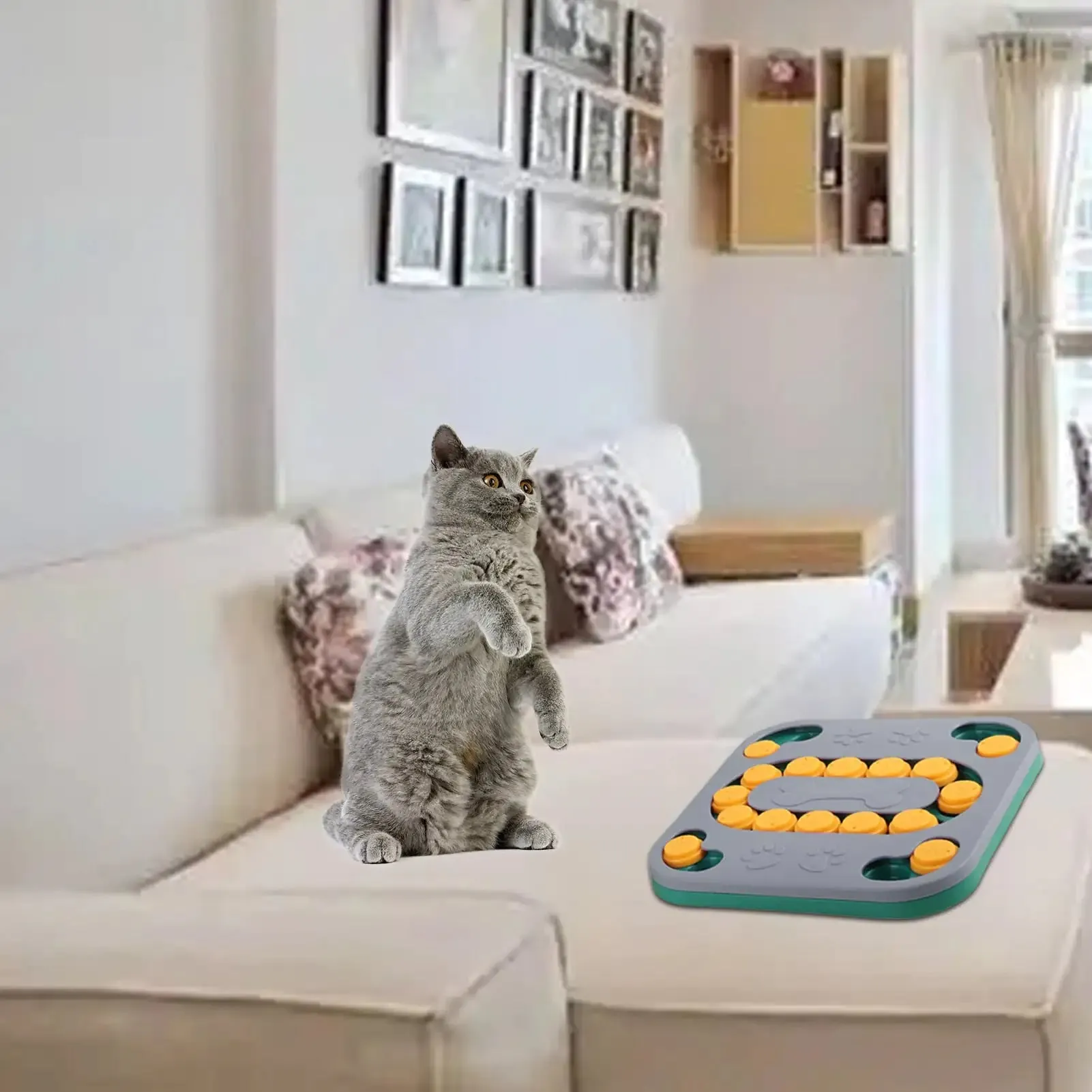 Smart Puzzle Toys for Dogs