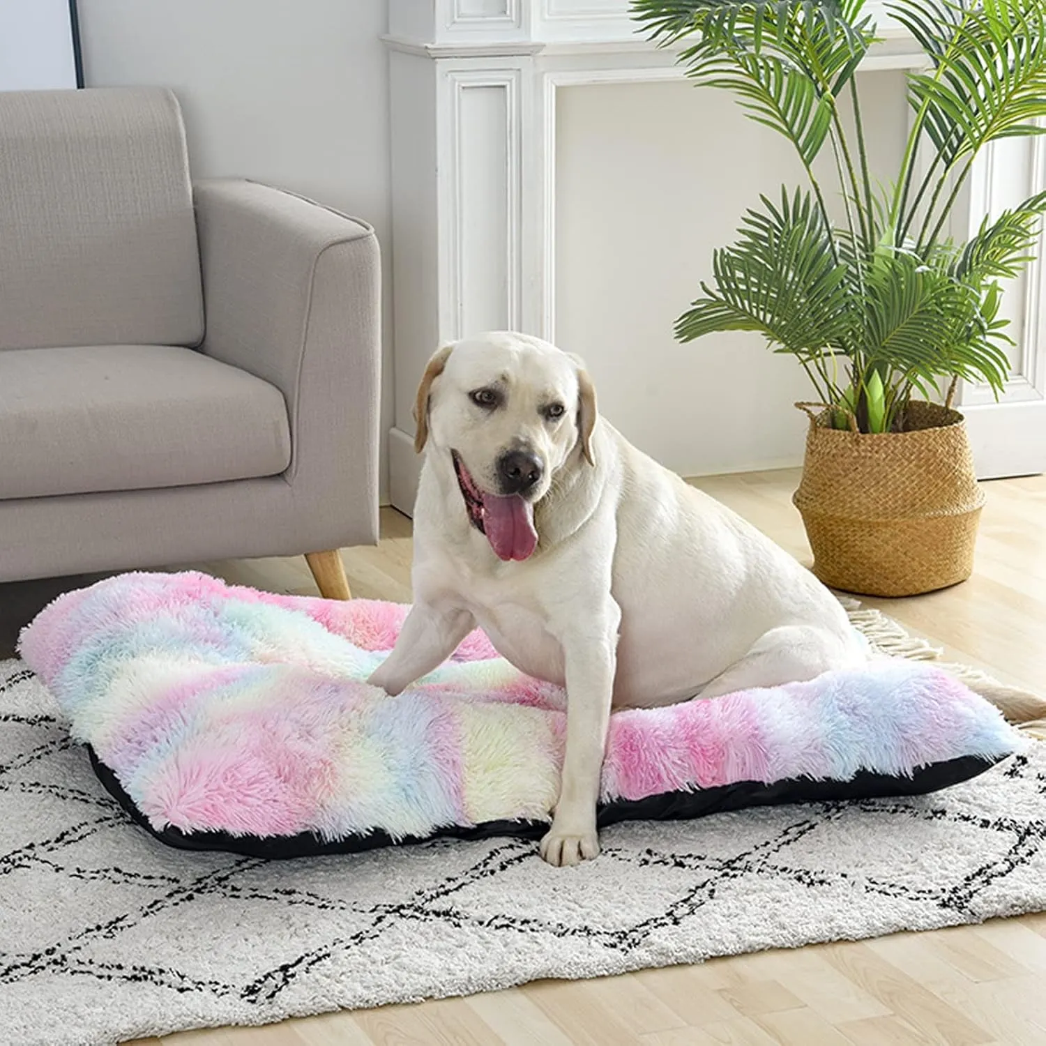 Soft Plush Dog Bed Crate Mat for Small Dogs, Faux Fur Fluffy Dog Pet Cat Kennel Pad with Anti-Slip Bottom, Machine Washable