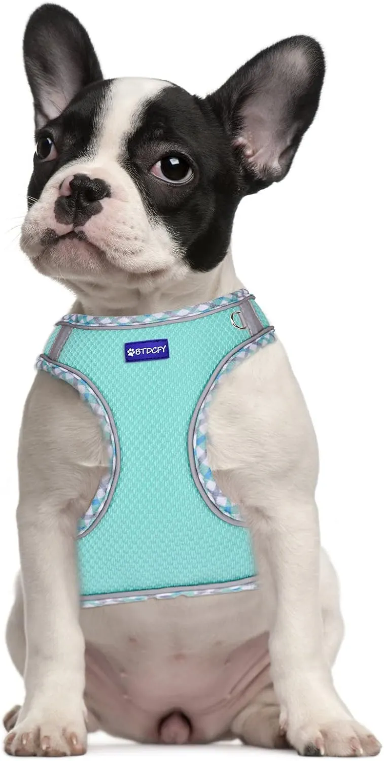 Step in Mesh Dog Harness and Leash Set - Breathable Air Mesh Reflective Escape Proof Vest - No Choke, Lightweight - Green