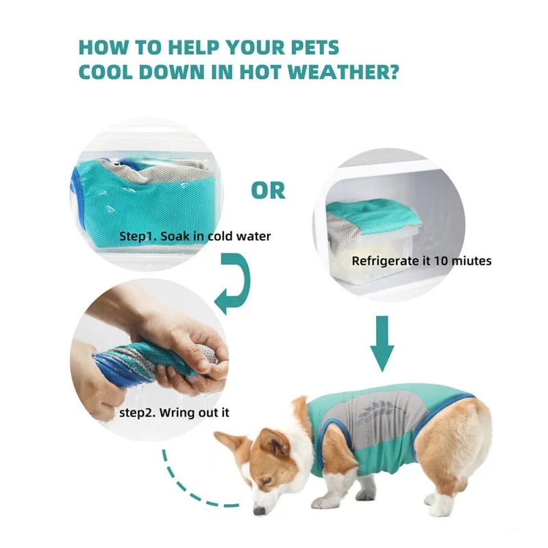Summer Pet Dog Cooling Vest Reflective Quick-Cooling Dog Jacket