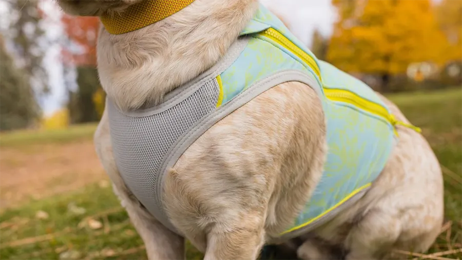 Swamp Cooler Zip™ Vest