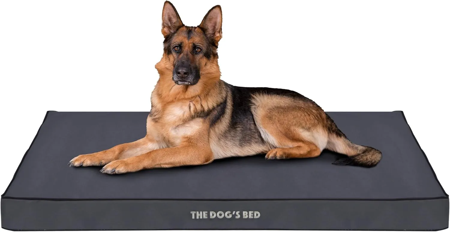 The Dogs Bed Orthopedic Standard Foam Dog Bed with Standard Support, XL Grey with Black Trim, Waterproof, Supportive Dog Bed with Replaceable Covers, Veterinary Approved