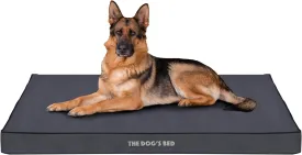 The Dogs Bed Orthopedic Standard Foam Dog Bed with Standard Support, XL Grey with Black Trim, Waterproof, Supportive Dog Bed with Replaceable Covers, Veterinary Approved
