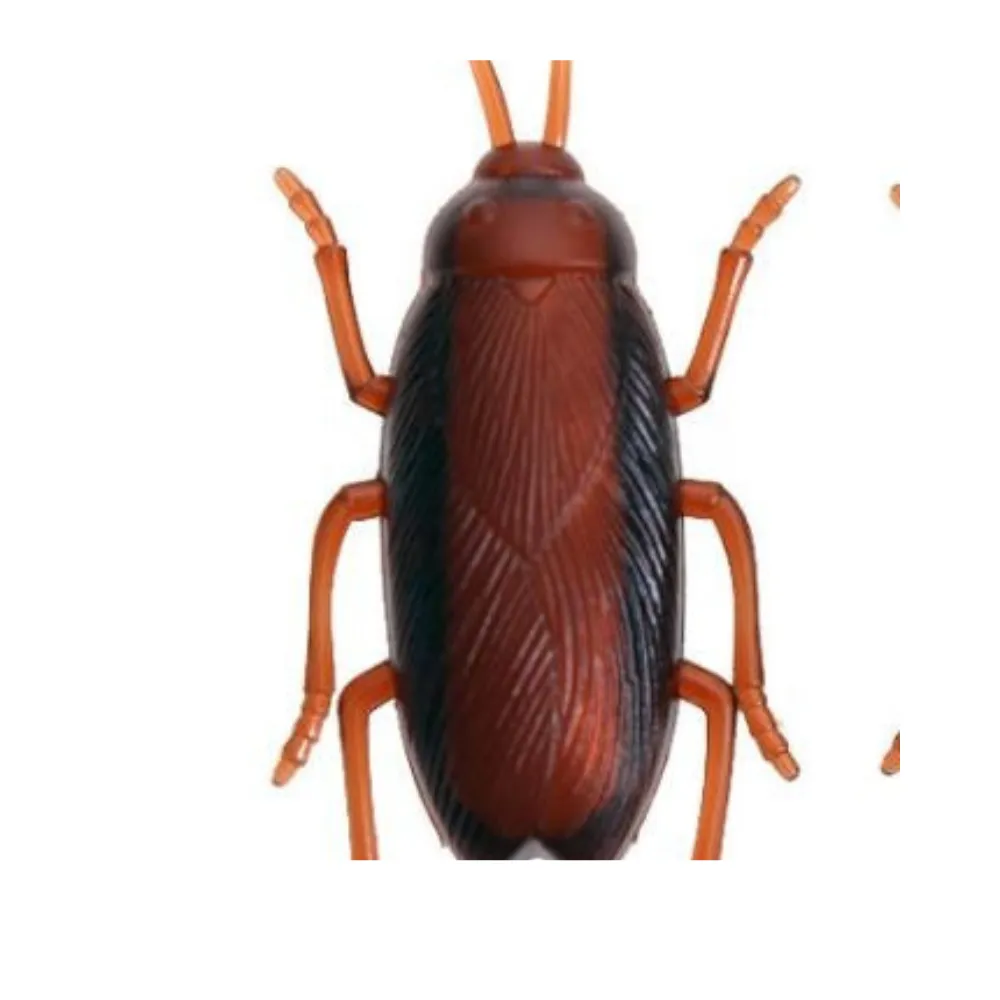 Toy Interactive Electronic Cockroach