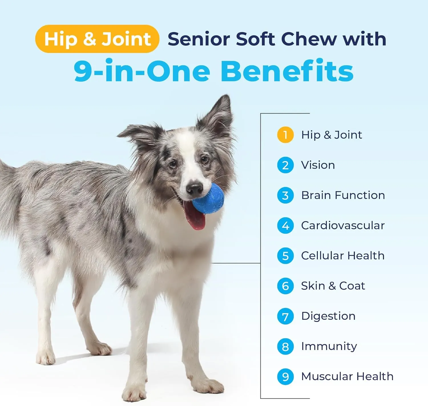 Vetnique Seniorbliss Senior Dog Joint Supplement with Glucosamine and Chondroitin for Dogs Joint Support and Healthy Cartilage Development - for Small & Large Breeds (Hip & Joint Chew, 30 Count)