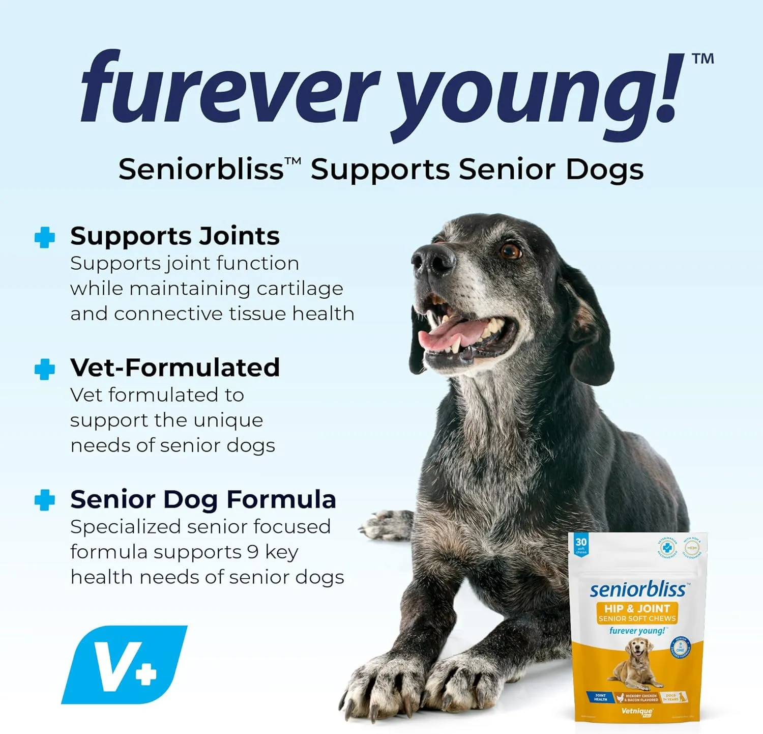 Vetnique Seniorbliss Senior Dog Joint Supplement with Glucosamine and Chondroitin for Dogs Joint Support and Healthy Cartilage Development - for Small & Large Breeds (Hip & Joint Chew, 30 Count)