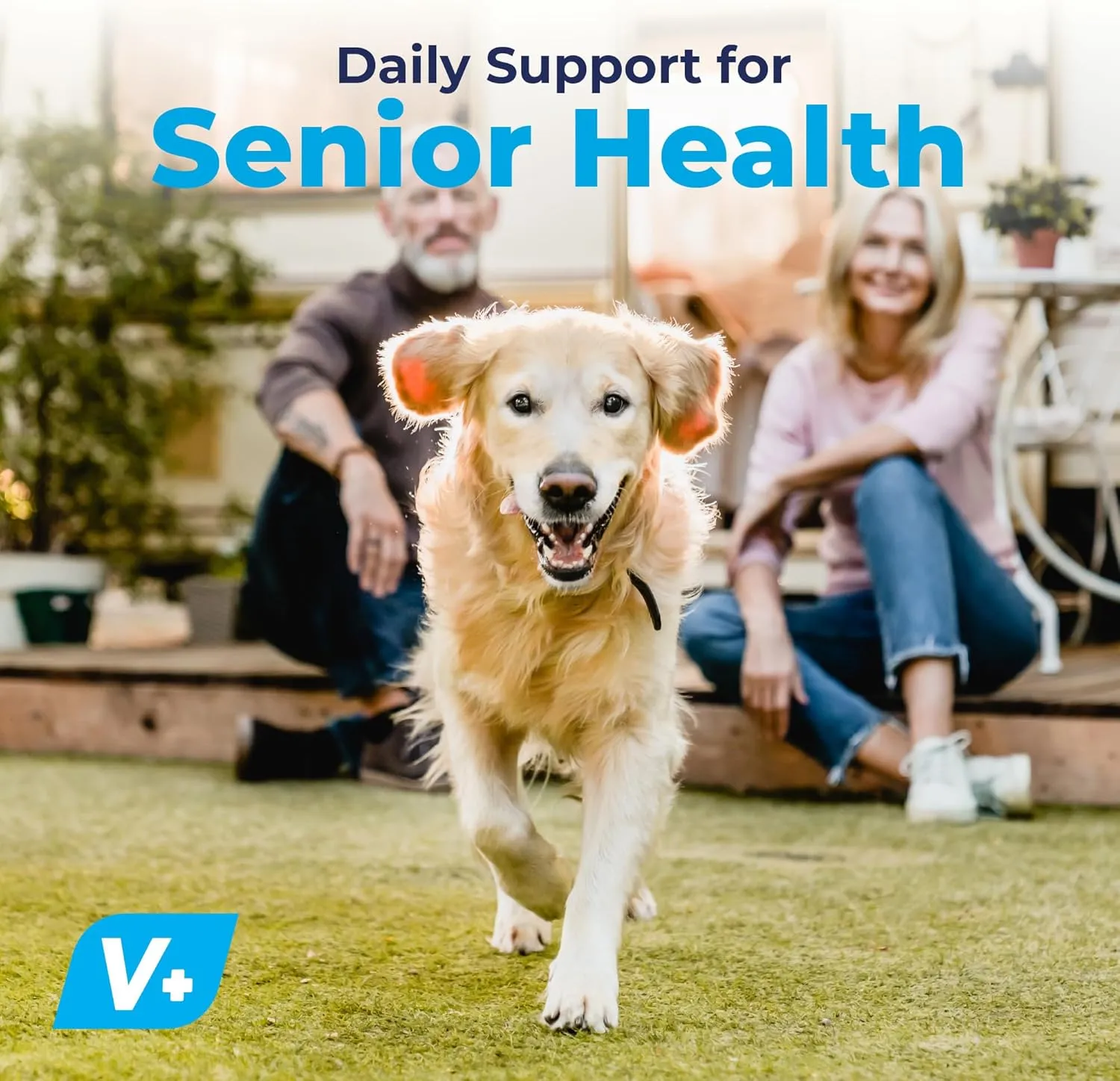 Vetnique Seniorbliss Senior Dog Joint Supplement with Glucosamine and Chondroitin for Dogs Joint Support and Healthy Cartilage Development - for Small & Large Breeds (Hip & Joint Chew, 30 Count)