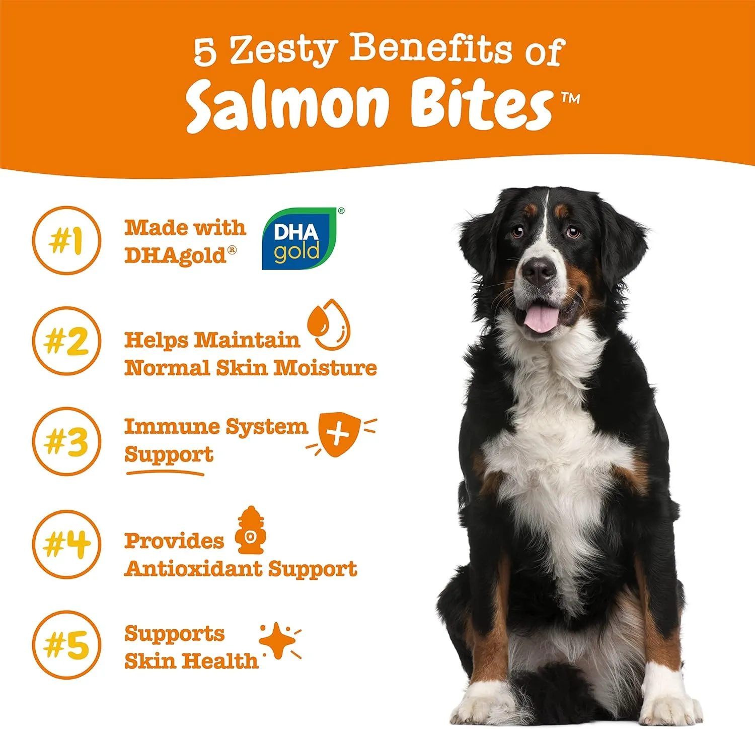 Zesty Paws Salmon Oil for Dogs Skin and Coat, Omega 3 Fish Oil Chews, Dog Allergy Relief Chews, Itch Relief Supplement, 90 Count, Salmon Flavor
