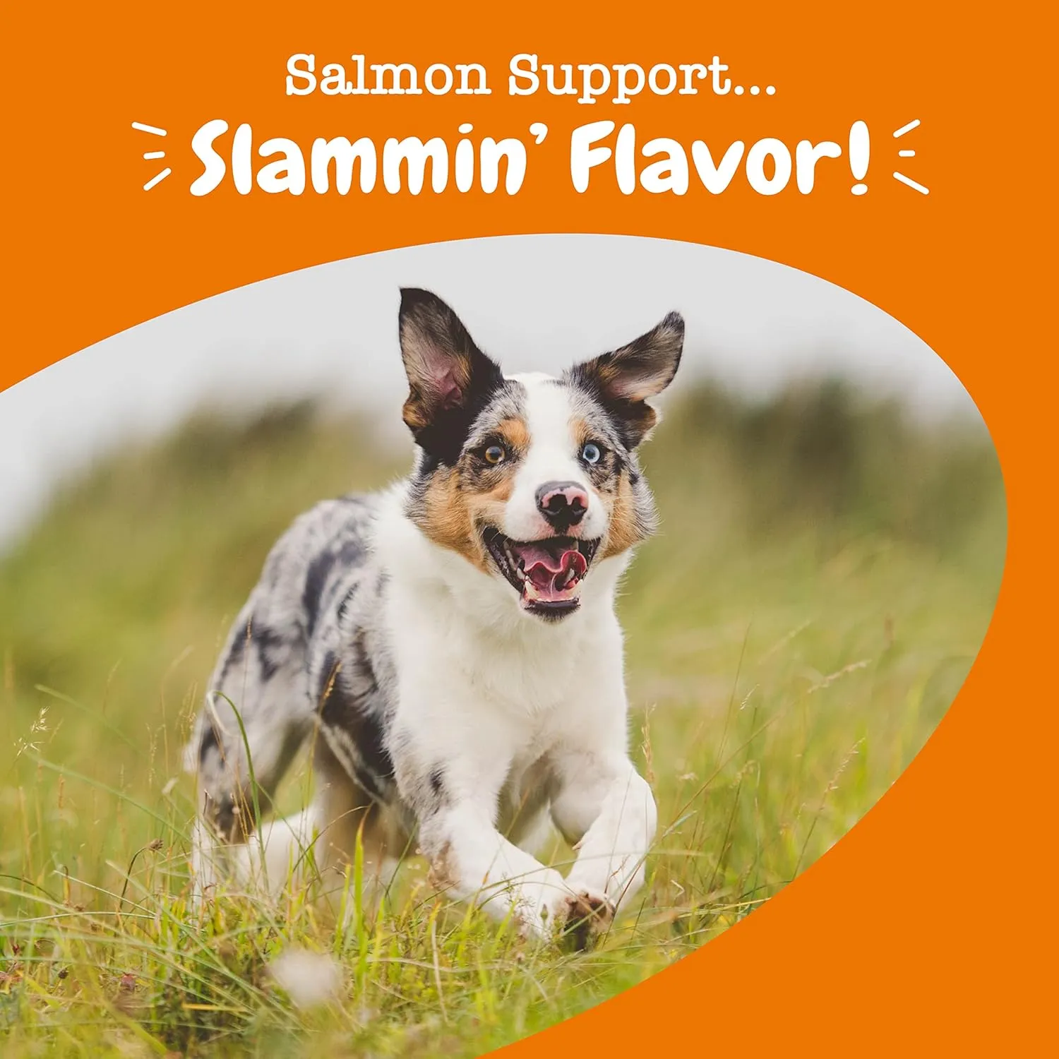 Zesty Paws Salmon Oil for Dogs Skin and Coat, Omega 3 Fish Oil Chews, Dog Allergy Relief Chews, Itch Relief Supplement, 90 Count, Salmon Flavor